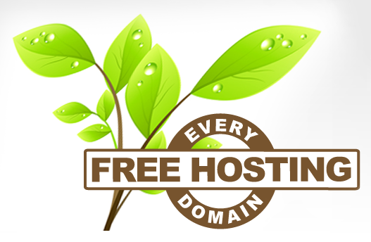 Free Web Hosting with Every Domain